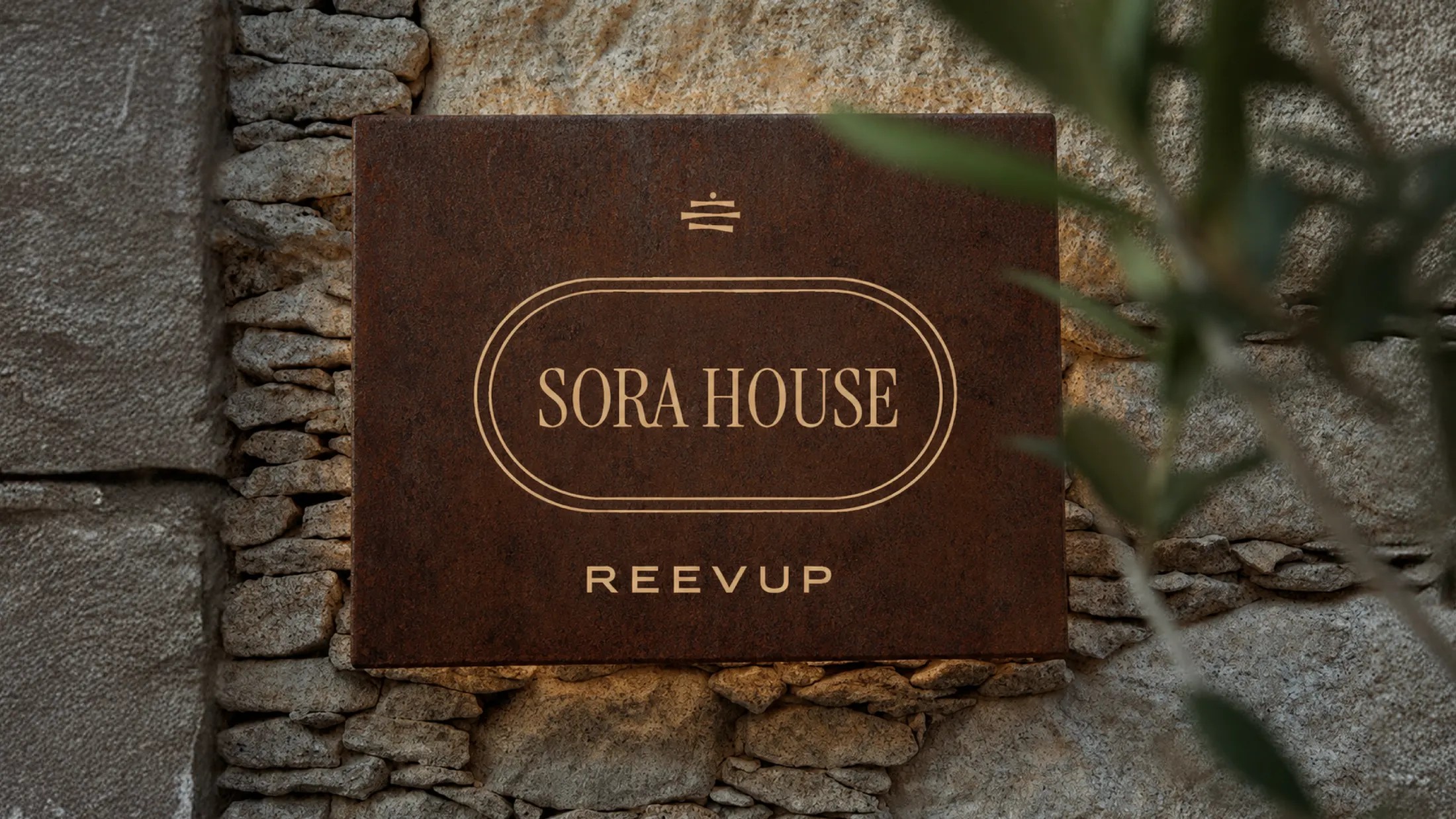REEVUP — mockup de marca
