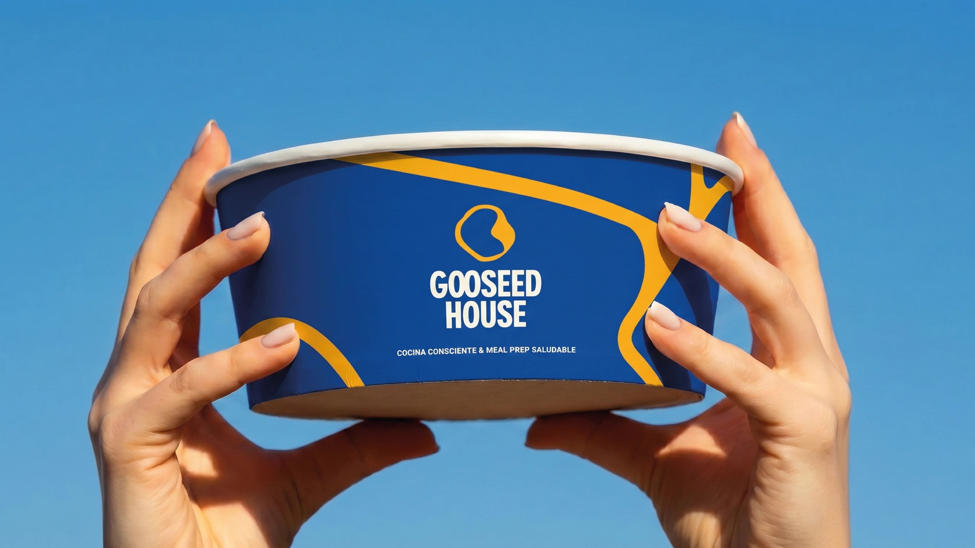 Presentación de marca Gooseed House — portada