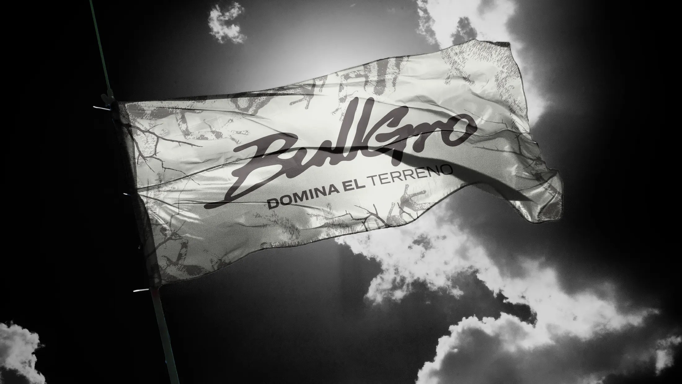 BULLGRO — sistema de identidad visual